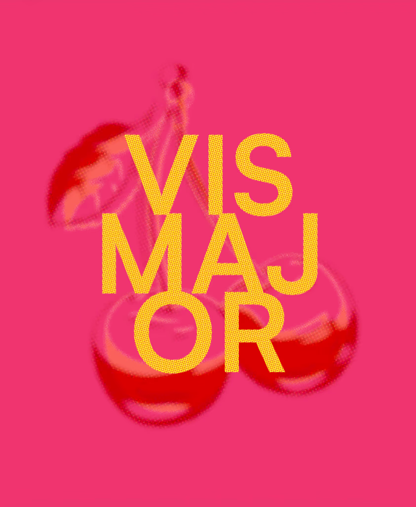 VisMajor FW23 Zin